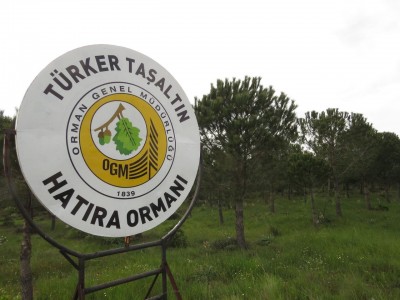 Resim ve Fotoğraflar