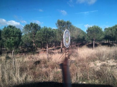 Resim ve Fotoğraflar