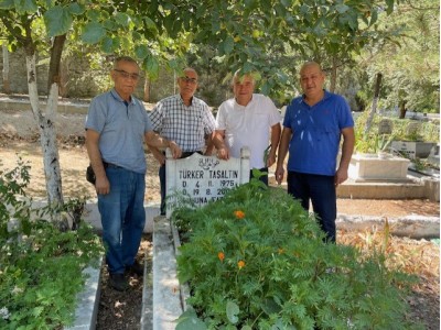 Resim ve Fotoğraflar