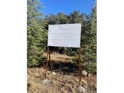 Resim ve Fotoğraflar