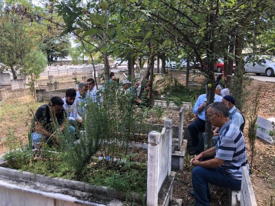 Resim ve Fotoğraflar