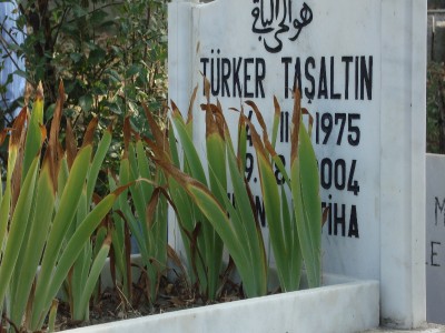 Resim ve Fotoğraflar