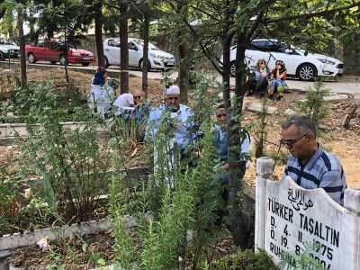 Resim ve Fotoğraflar
